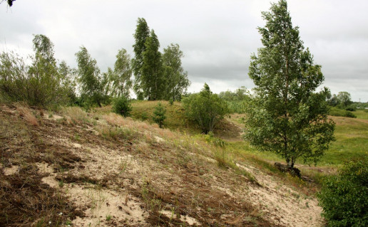 2_Nemuno kop+ kompleksas.jpg